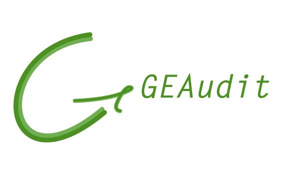 Geaudit Auditores, S.L.P.